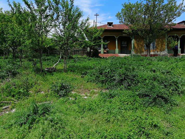 Rasmiresti, Teleorman