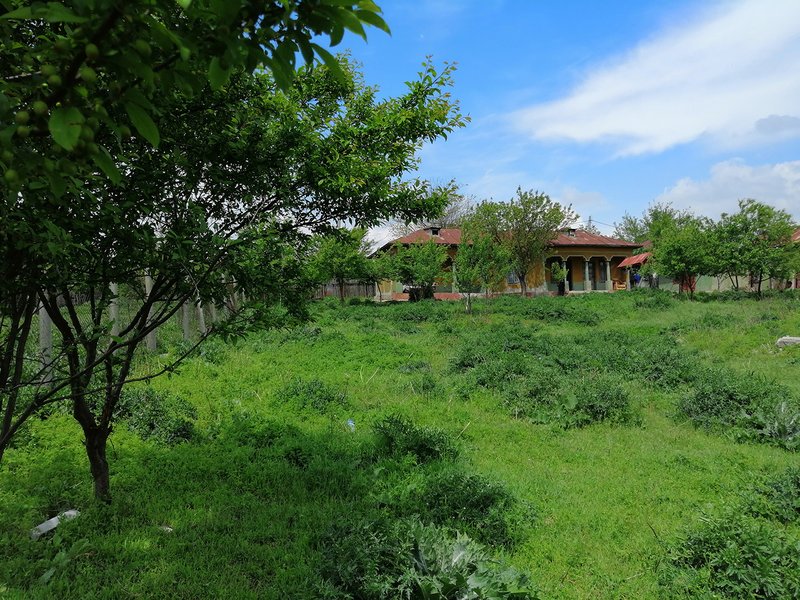 Rasmiresti, Teleorman