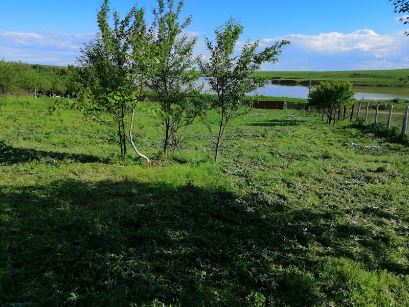 Rasmiresti, Teleorman