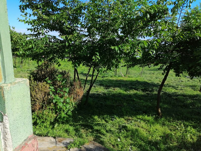 Rasmiresti, Teleorman